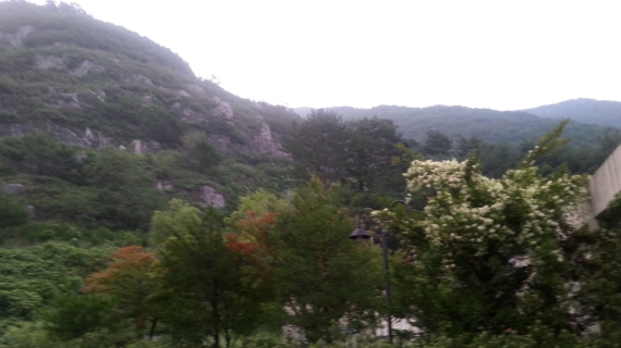 2015\0817\2015081727515631_B.jpg